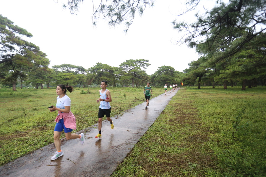 Cung đường của giải chạy xuyên qua cánh rừng thông già. Ảnh: Văn Ngọc