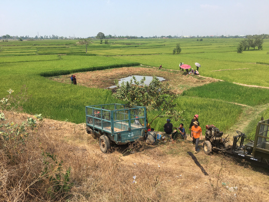 Khu vực đầm lầy cỏ mọc khá dày buộc lực lượng chức năng phải cắt cỏ mới tìm kiếm được thi thể nạn nhân. Ảnh: Văn Nhân