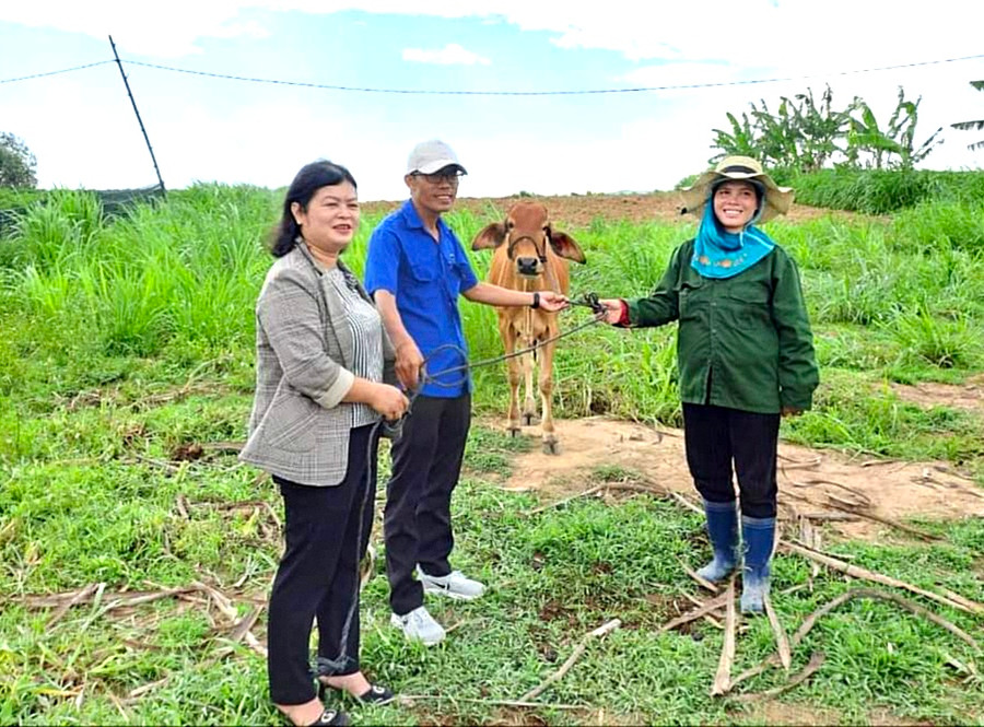 Đại diện các đơn vị trao hỗ trợ sinh kế cho hộ bà Đinh Thị Senh (làng Jro Ktu Đak Yang, xã Yang Bắc). Ảnh: Lê Đại Đại diện các đơn vị trao hỗ trợ sinh kế cho hộ bà Đinh Thị Senh (làng Jro Ktu Đak Yang, xã Yang Bắc). Ảnh: Lê Đại