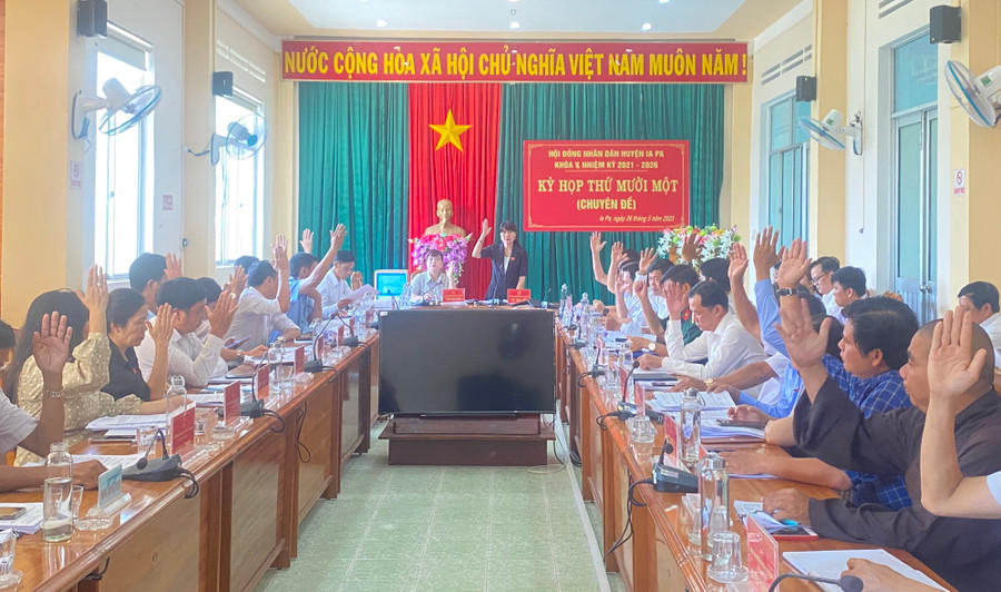 Các đại biểu biểu quyết thông qua các nghị quyết. Ảnh: Mai Linh