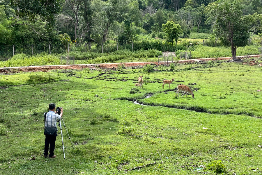 Kiểm soát chặt chẽ hoạt động gây nuôi động vật hoang dã là một trong những mục tiêu mà tỉnh Gia Lai đặt ra trong giai đoạn 2023-2025. Ảnh: Phương Vi Kiểm soát chặt chẽ hoạt động gây nuôi động vật hoang dã là một trong những mục tiêu mà tỉnh Gia Lai đặt ra trong giai đoạn 2023-2025. Ảnh: Phương Vi