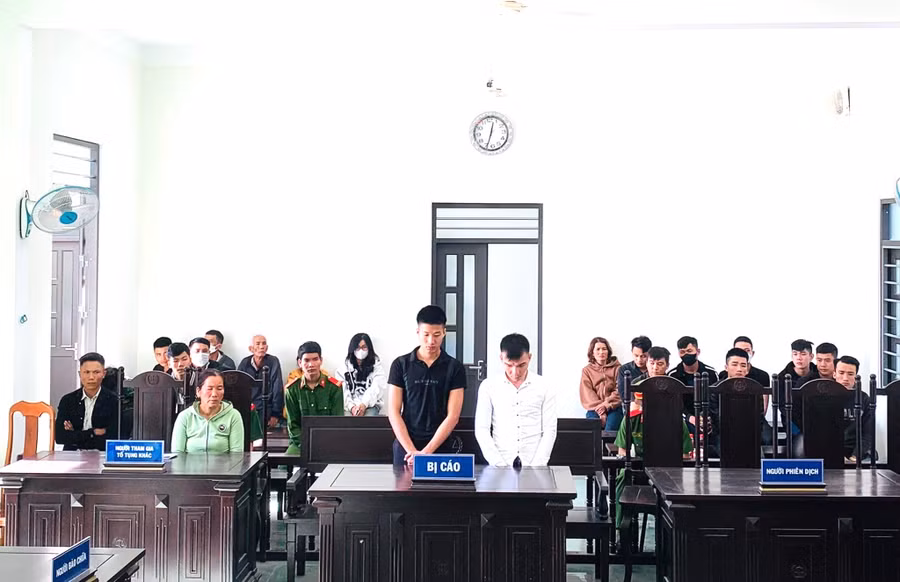 2 bị cáo cúi đầu nhận tội tại phiên tòa. Ảnh: Nguyễn Hiền