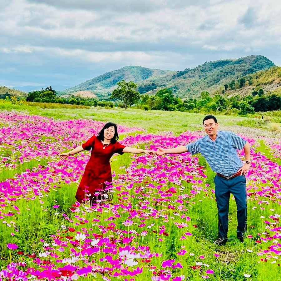 Vườn hoa sao nhái cũng lung linh khoe sắc. Ảnh: Mai Hương