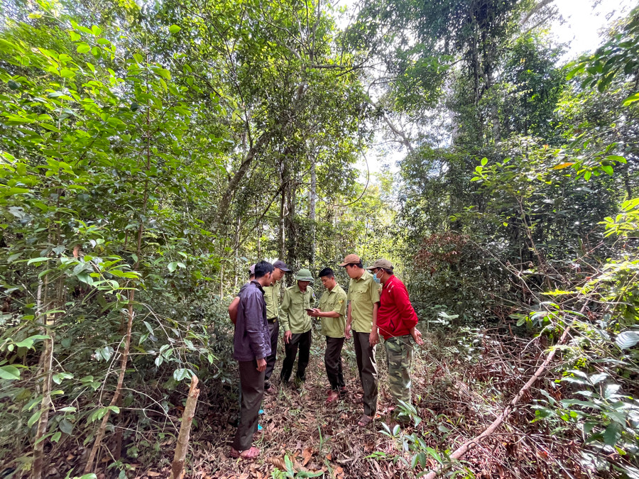 Sở Nông nghiệp và PTNT tuyển dụng 69 chỉ tiêu vào 18 ban quản lý rừng phòng hộ và Ban Quản lý Khu bảo tồn thiên nhiên Kon Chư Răng. Ảnh: Phương Vi