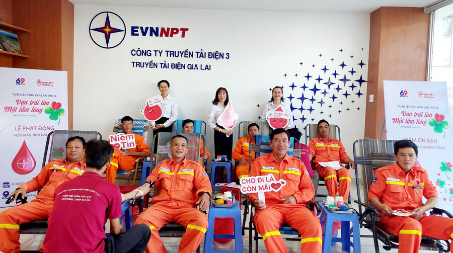 Đông đảo Cán bộ, công nhân, người lao động Công ty Truyền tải điện Gia Lai tham gia HMTN. Ảnh: Hồng Ngọc