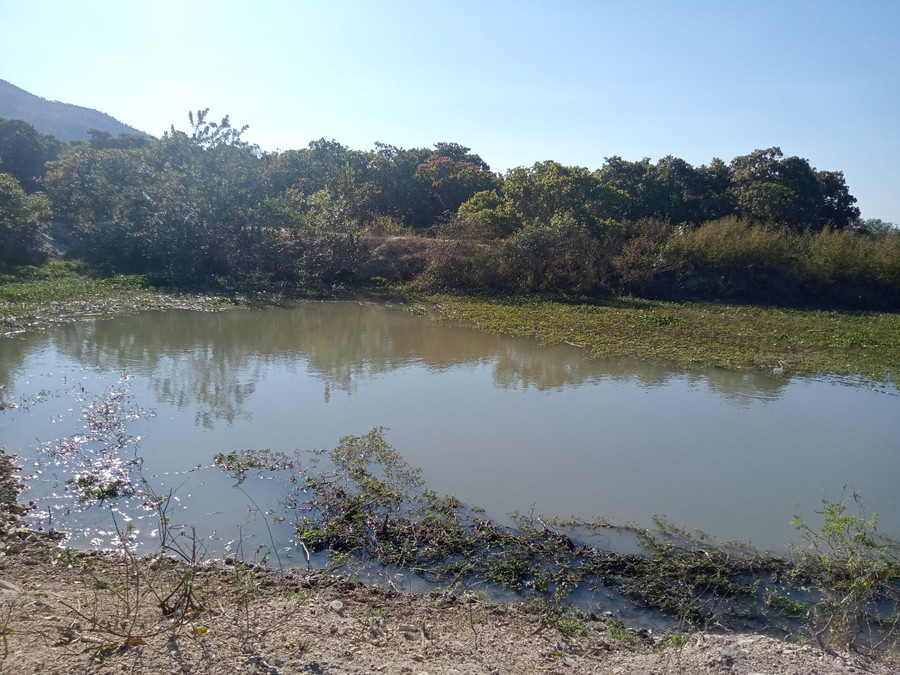 Ao nước nơi 2 cháu nhỏ đuối nước thương tâm. Ảnh: Quang Ngọc