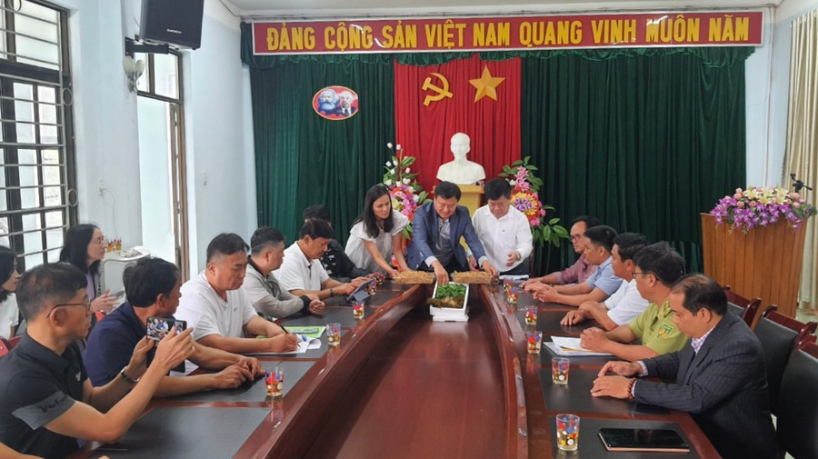 Đoàn các doanh nghiệp Hàn Quốc giới thiệu về cây sâm tại Vườn Quốc gia Kon Ka Kinh. Ảnh: Văn Toàn