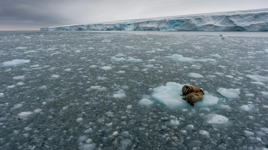 Lớp băng vĩnh cửu nhiều nơi đang tan chảy trước nguy cơ nóng lên toàn cầu (Ảnh: Green Peace) Lớp băng vĩnh cửu nhiều nơi đang tan chảy trước nguy cơ nóng lên toàn cầu (Ảnh: Green Peace)