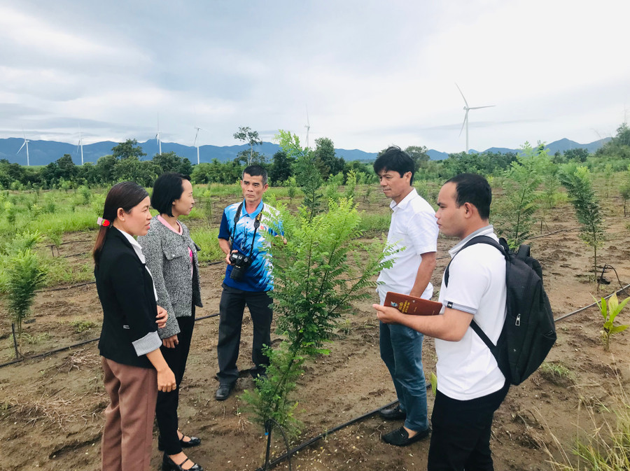 Hội viên Hội Nhà báo tỉnh tác nghiệp tại cơ sở. Ảnh: Lê Quang Hồi