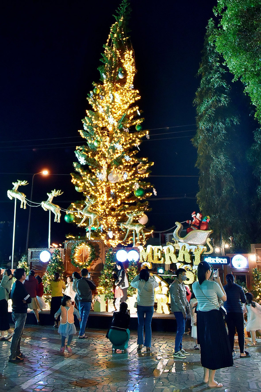 Cây thông Noel tại Khách sạn Hoàng Anh Gia Lai có chiều cao khoảng 5 m, được trang trí lộng lẫy với nhiều quả cầu, dây chuông và đèn điện.