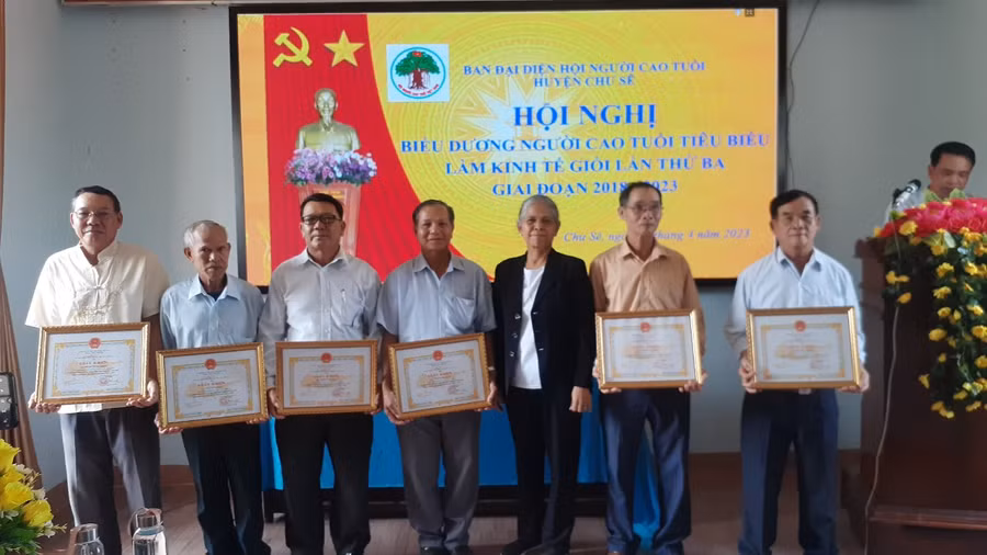 Người cao tuổi làm kinh tế giỏi giai đoạn 2018-2023 được tặng giấy khen của Chủ tịch UBND huyện. Ảnh: Hoàng Viên