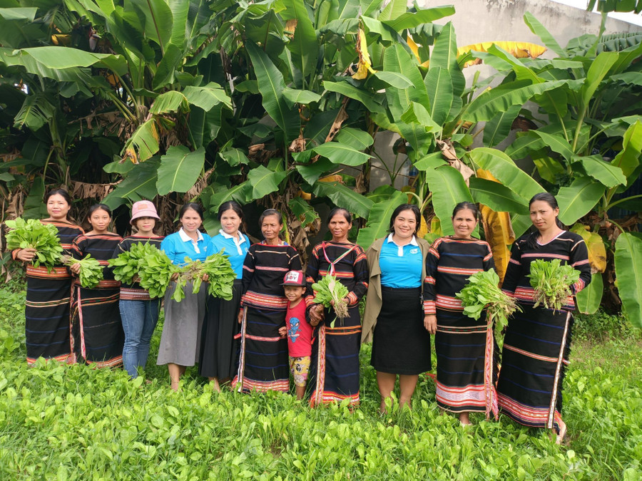 Mô hình “Vườn rau an toàn” tại buôn Ia Rniu có 10 thành viên. Ảnh: Mai Linh Mô hình “Vườn rau an toàn” tại buôn Ia Rniu có 10 thành viên. Ảnh: Mai Linh