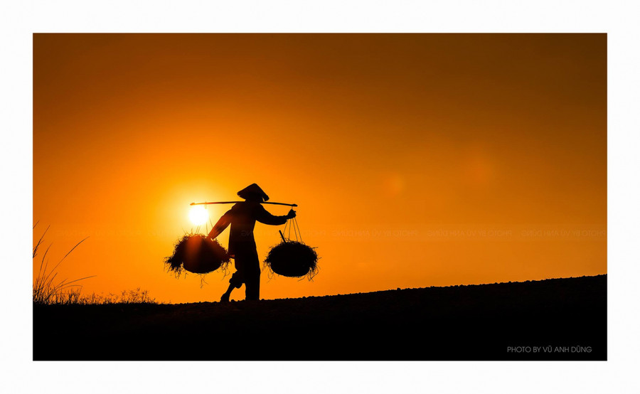 Ảnh minh họa. Nguồn internet