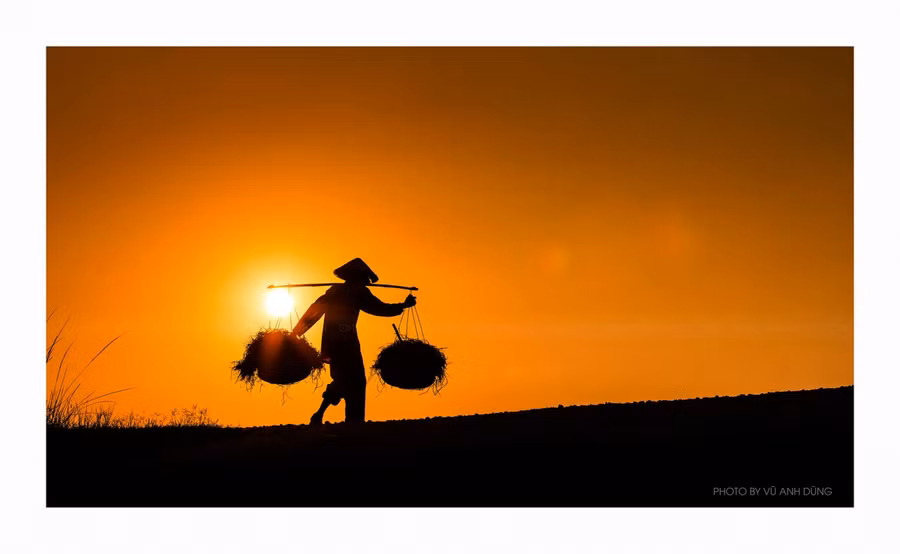 Ảnh minh họa. Nguồn internet