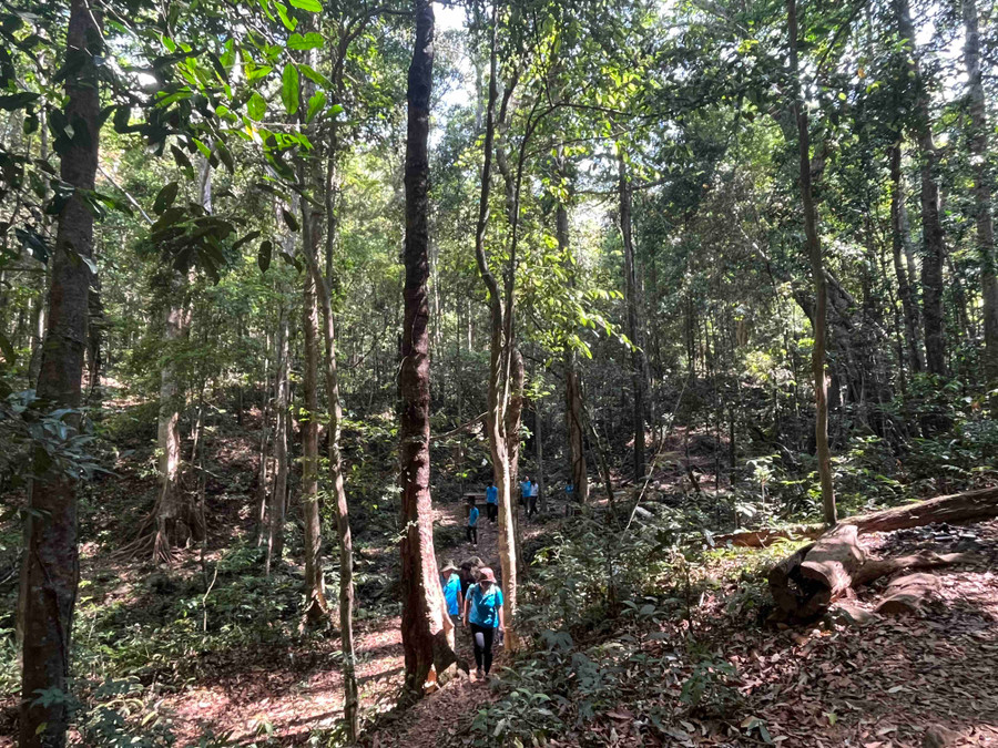 Quy hoạch đặt mục tiêu đến năm 2030, tăng diện tích các khu bảo tồn thiên nhiên; bảo vệ, phục hồi các hệ sinh thái tự nhiên quan trọng, nâng cao chất lượng đa dạng sinh học. Ảnh: Phương Vi Quy hoạch đặt mục tiêu đến năm 2030, tăng diện tích các khu bảo tồn thiên nhiên; bảo vệ, phục hồi các hệ sinh thái tự nhiên quan trọng, nâng cao chất lượng đa dạng sinh học. Ảnh: Phương Vi