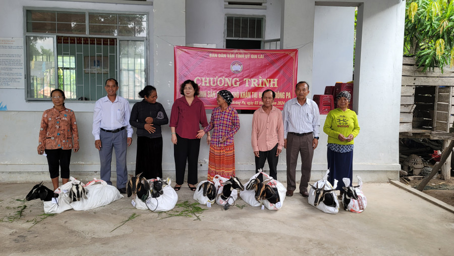 Đồng chí Phạm Thị Tố Hải (thứ 4 từ trái sang) trao dê giống cho các hộ nghèo. Ảnh: Quang Ngọc Đồng chí Phạm Thị Tố Hải (thứ 4 từ trái sang) trao dê giống cho các hộ nghèo. Ảnh: Quang Ngọc