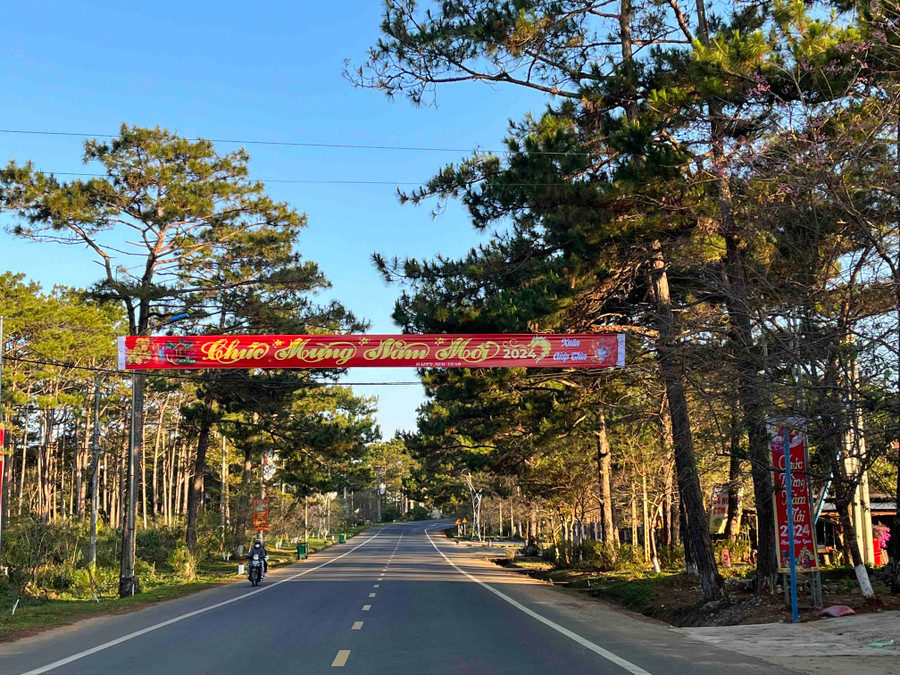 Măng Đen (tỉnh Kon Tum) cũng là một trong những điểm được quy hoạch tiềm năng phát triển Khu Du lịch quốc gia. Ảnh: P.V Măng Đen (tỉnh Kon Tum) cũng là một trong những điểm được quy hoạch tiềm năng phát triển Khu Du lịch quốc gia. Ảnh: P.V