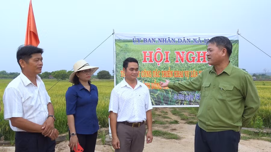 Huyện đã quan tâm triển khai nhiều mô hình hỗ trợ người dân vùng biên giới Ia Mơr trồng lúa nước, phát huy công trình thủy lợi Ia Mơr. Ảnh: Quang Tấn