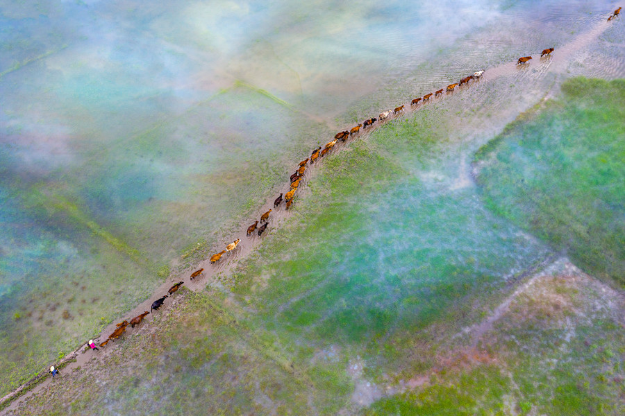 Khung cảnh thiên nhiên êm đềm, thanh bình.