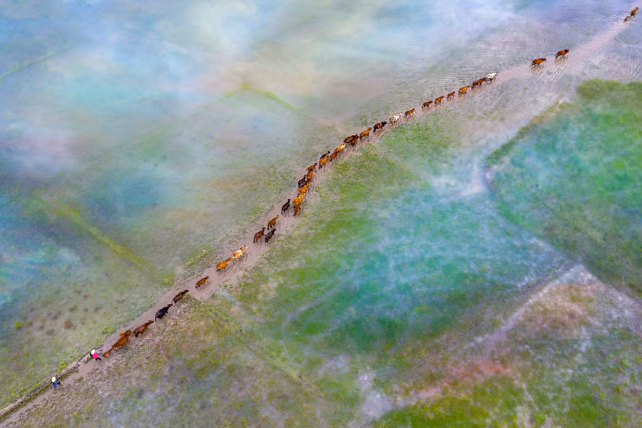 Khung cảnh thiên nhiên êm đềm, thanh bình.