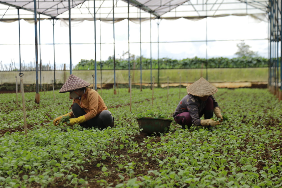 UBND tỉnh giao nhiệm vụ cho các sở, ngành hỗ trợ doanh nghiệp nhỏ và vừa sử dụng nguồn ngân sách trung ương trên địa bàn tỉnh năm 2023. Ảnh: Phương Vi UBND tỉnh giao nhiệm vụ cho các sở, ngành hỗ trợ doanh nghiệp nhỏ và vừa sử dụng nguồn ngân sách trung ương trên địa bàn tỉnh năm 2023. Ảnh: Phương Vi