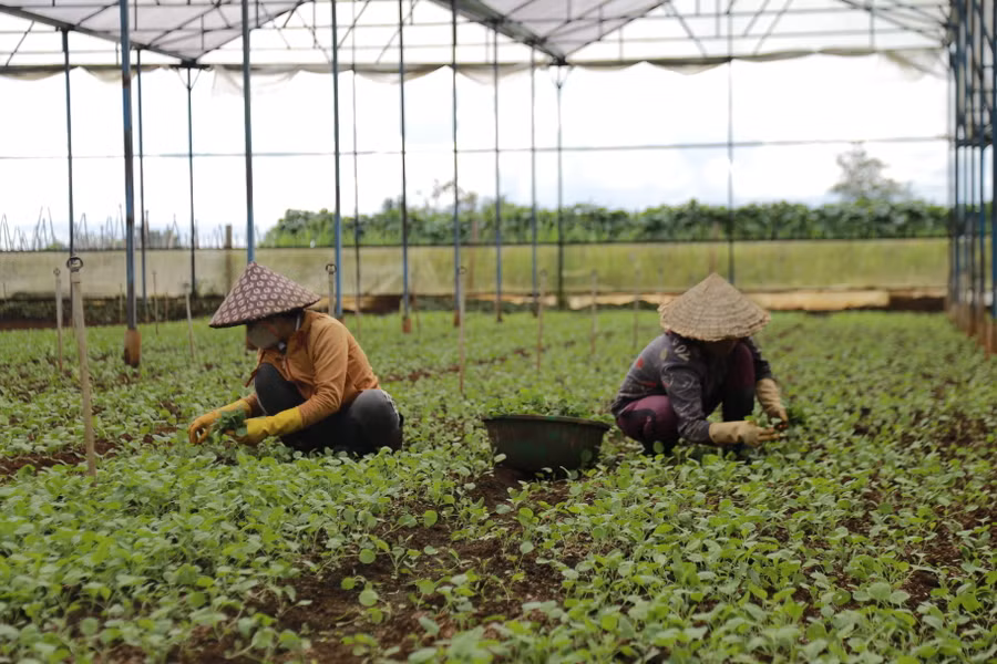 UBND tỉnh giao nhiệm vụ cho các sở, ngành hỗ trợ doanh nghiệp nhỏ và vừa sử dụng nguồn ngân sách trung ương trên địa bàn tỉnh năm 2023. Ảnh: Phương Vi