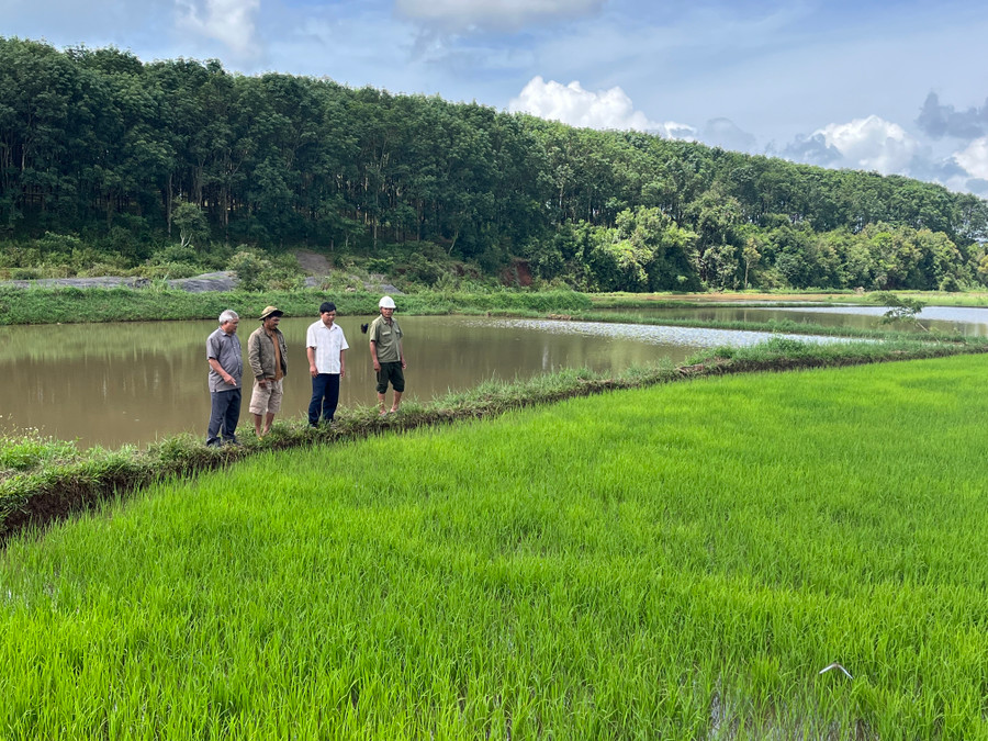 Trên lĩnh vực kinh tế, các cấp, các ngành đã hướng dẫn, vận động Nhân dân xây dựng mô hình phát triển kinh tế gắn với ứng dụng khoa học công nghệ; đẩy mạnh chuyển dịch cơ cấu cây trồng, vật nuôi. Ảnh: Phương Vi Trên lĩnh vực kinh tế, các cấp, các ngành đã hướng dẫn, vận động Nhân dân xây dựng mô hình phát triển kinh tế gắn với ứng dụng khoa học công nghệ; đẩy mạnh chuyển dịch cơ cấu cây trồng, vật nuôi. Ảnh: Phương Vi