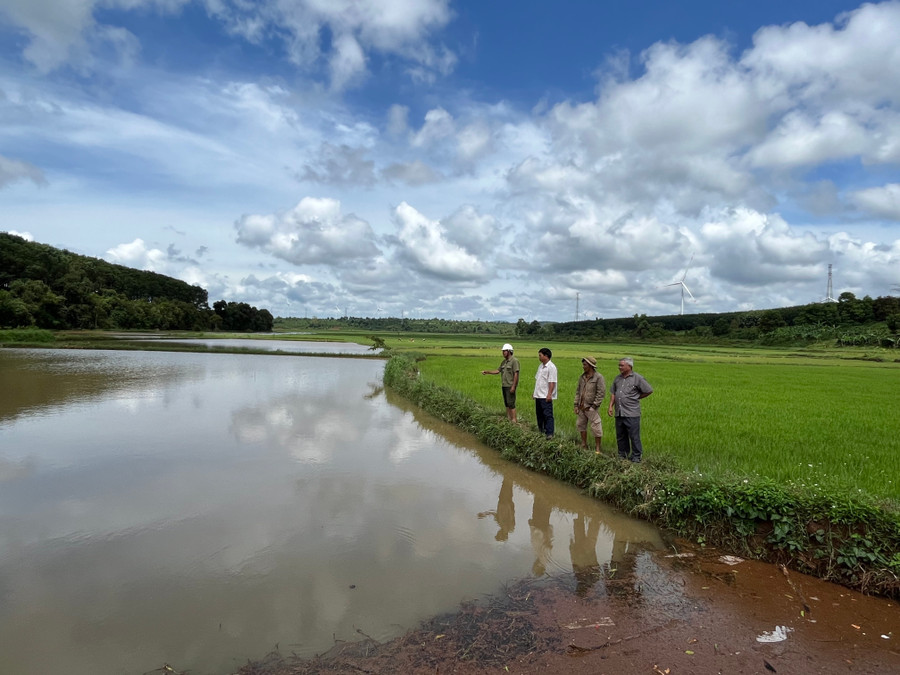 Mưa lớn khiến đất bùn bồi lấp ruộng lúa của người dân ở xã A Dơk (huyện Đak Đoa). Ảnh: Phương Vi