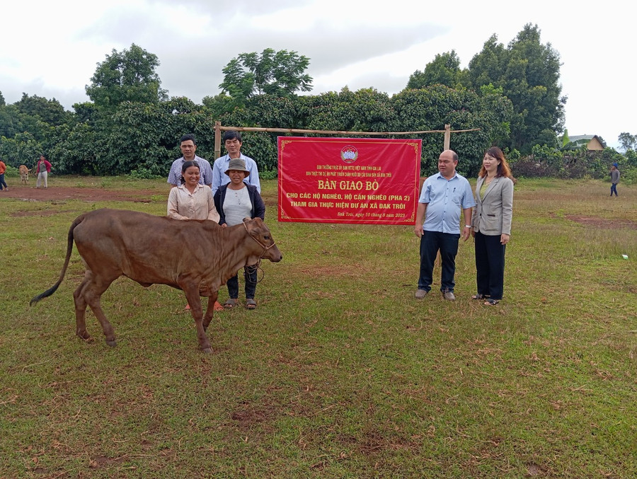 Đại diện lãnh đạo Mặt trận tỉnh, Mặt trận huyện và các đơn vị liên quan trao bò cho các hộ nghèo tại làng Đak Bớt, xã Đak Trôi. Ảnh: Ngọc Anh Đại diện lãnh đạo Mặt trận tỉnh, Mặt trận huyện và các đơn vị liên quan trao bò cho các hộ nghèo tại làng Đak Bớt, xã Đak Trôi. Ảnh: Ngọc Anh
