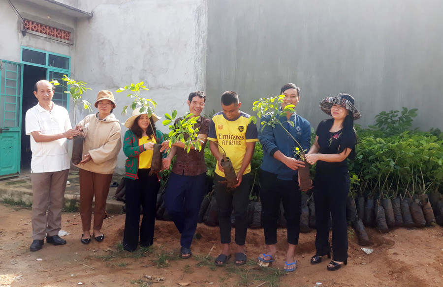 Đại diện Công ty TNHH một thành viên Cao su Chư Păh tặng cây giống cao su cho bà con. Ảnh: K.P