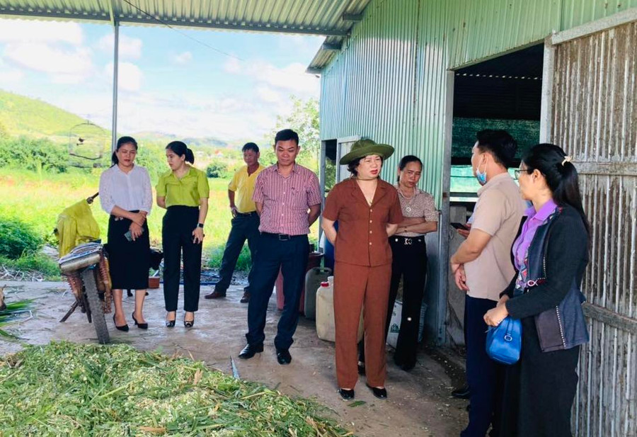 Đoàn công tác do Ủy viên Ban Thường vụ Tỉnh ủy, Trưởng ban Dân vận Tỉnh ủy Gia Lai Phạm Thị Tố Hải làm trưởng đoàn đã đi thăm các mô hình nông hội và dân vận khéo tại huyện Phú Thiện. Ảnh: Hoa Mai Đoàn công tác do Ủy viên Ban Thường vụ Tỉnh ủy, Trưởng ban Dân vận Tỉnh ủy Gia Lai Phạm Thị Tố Hải làm trưởng đoàn đã đi thăm các mô hình nông hội và dân vận khéo tại huyện Phú Thiện. Ảnh: Hoa Mai