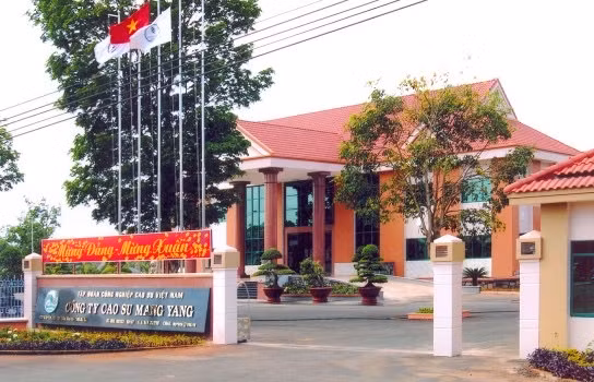 Chuyển công tác khác đối với ông Trương Minh Tiến, Tổng Giám đốc Công ty TNHH một thành viên Cao su Mang Yang ảnh 1