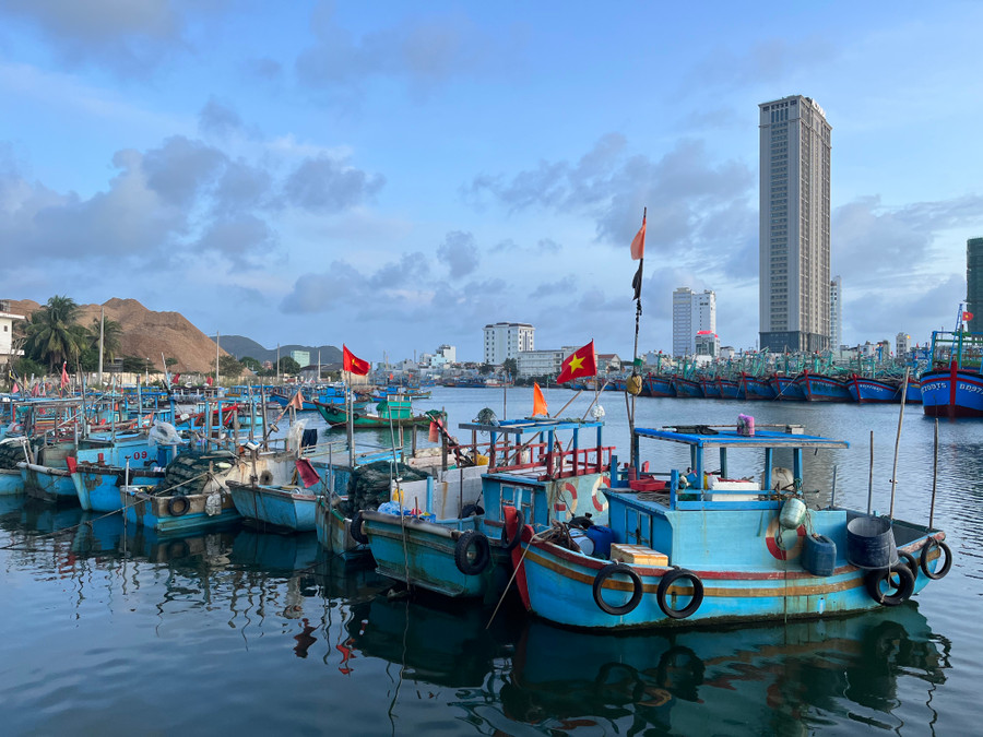 Cửa khẩu Cảng Quy Nhơn, tỉnh Bình Định. Ảnh: Phương Vi Cửa khẩu Cảng Quy Nhơn, tỉnh Bình Định. Ảnh: Phương Vi