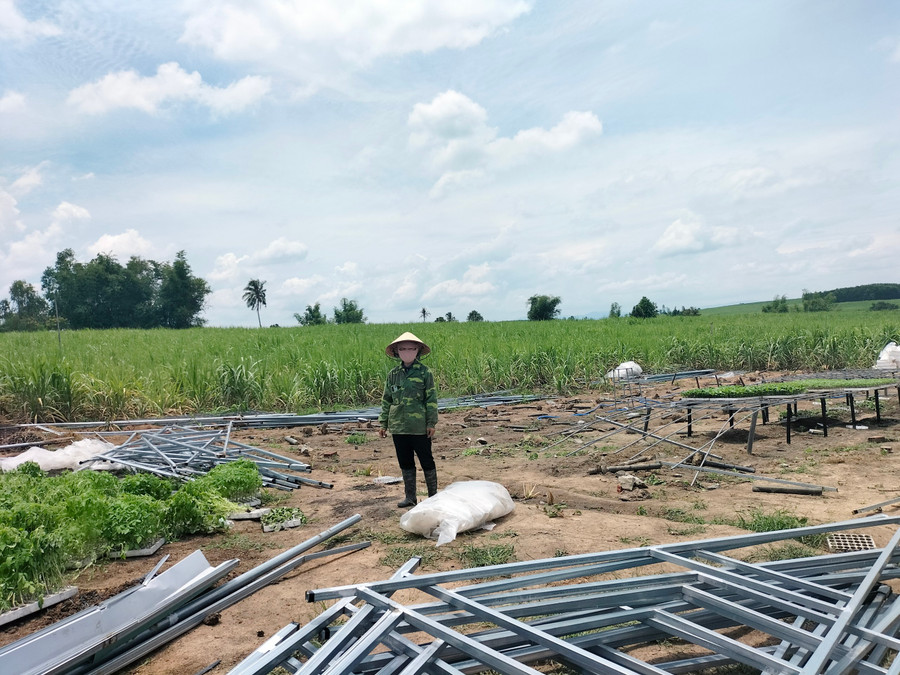Nhà lồng của người dân bị xô ngã do gió lớn. Ảnh: Hồng Hạnh Nhà lồng của người dân bị xô ngã do gió lớn. Ảnh: Hồng Hạnh
