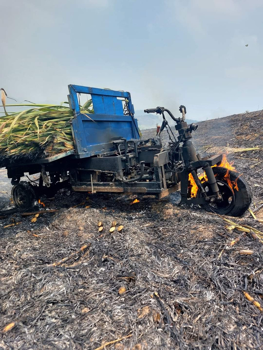 Chiếc xe ba gác gom ngọn mía đột nhiên bốc cháy khiến 1,3 ha mía bị cháy lan. Ảnh: Hồng Hạnh