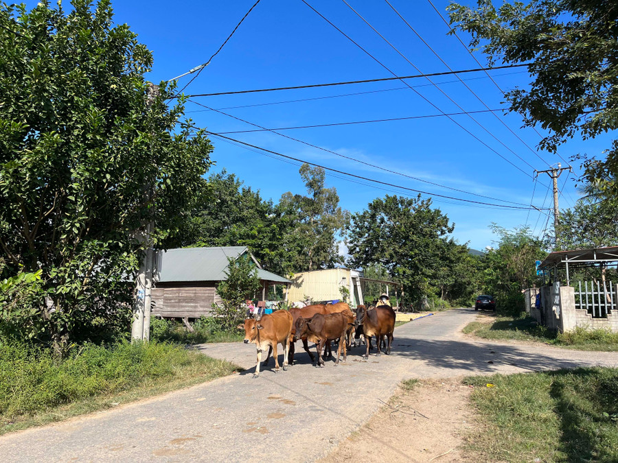 Ủy ban nhân dân tỉnh đề nghị bằng các nguồn lực sẵn có và lồng ghép với các chương trình, tiếp tục quan tâm đầu tư, từng bước hoàn thiện cơ sở hạ tầng thiết yếu cho vùng sâu vùng xa, vùng đặc biệt khó khăn, đặc biệt là hệ thống giao thông kết nối. Ảnh: Phương Vi