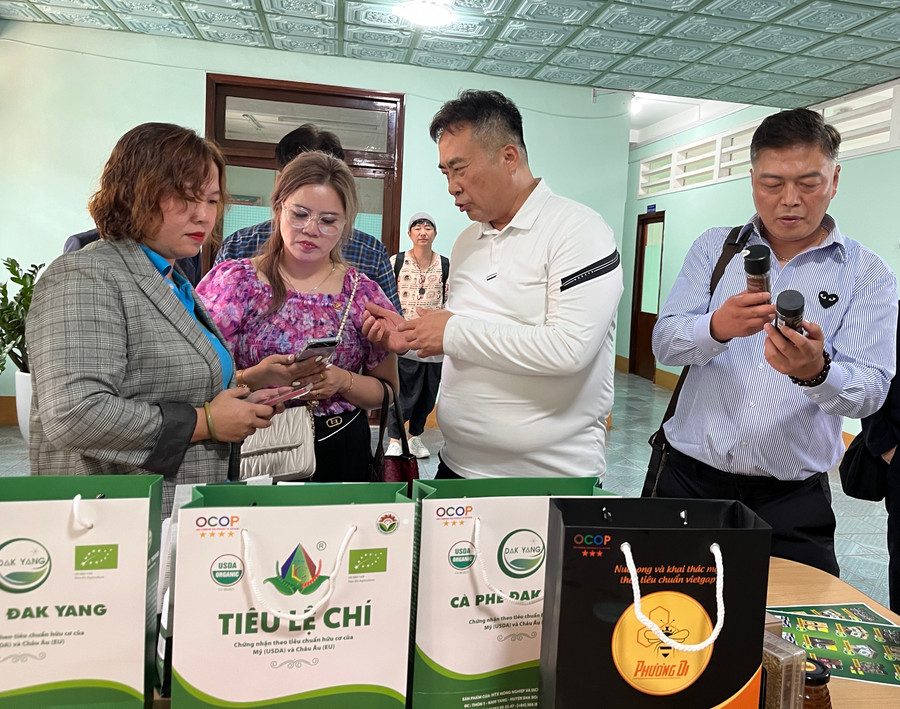 Các doanh nghiệp Hàn Quốc tìm hiểu về sản phẩm OCOP của tỉnh Gia Lai. Ảnh: Phương Linh Các doanh nghiệp Hàn Quốc tìm hiểu về sản phẩm OCOP của tỉnh Gia Lai. Ảnh: Phương Linh