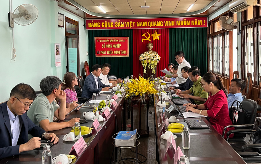 Đoàn công tác các doanh nghiệp Hàn Quốc đặc biệt quan tâm đến tiềm năng, thế mạnh của tỉnh Gia Lai trong phát triển nông nghiệp, nhất là cây dược liệu như sâm, nấm hay cây lương thực như bắp... Ảnh: Phương Linh Đoàn công tác các doanh nghiệp Hàn Quốc đặc biệt quan tâm đến tiềm năng, thế mạnh của tỉnh Gia Lai trong phát triển nông nghiệp, nhất là cây dược liệu như sâm, nấm hay cây lương thực như bắp... Ảnh: Phương Linh