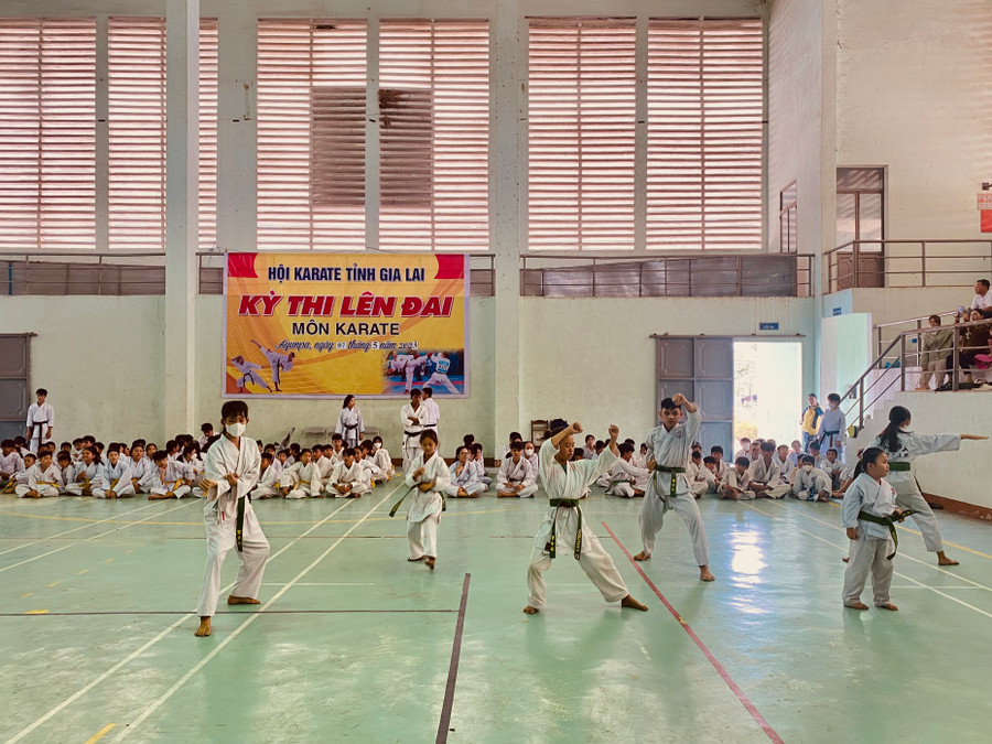 Các võ sinh khu vực Đông Nam tỉnh tham gia kỳ thi lên đai karate. Ảnh: Nguyễn Sang