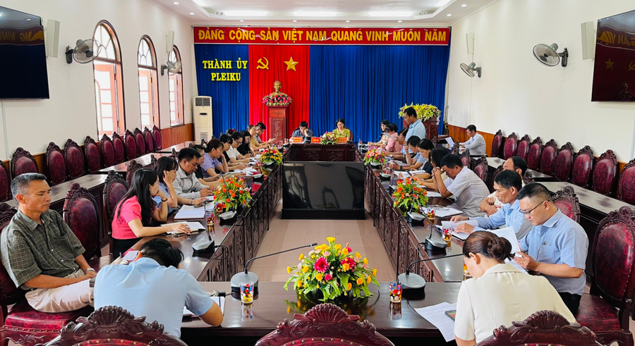 Quang cảnh hội nghị đánh giá kết quả hoạt động của Ban Chỉ đạo Đề án 61 TP. Pleiku. Ảnh: Bá Bính