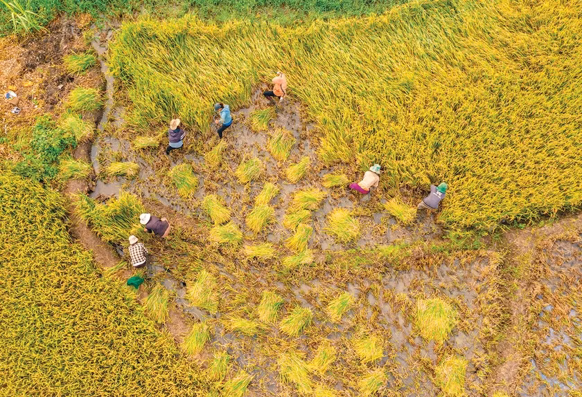 Theo danh sách, Sở Văn hóa-Thể thao và Du lịch được phân công kết nghĩa với làng Dip (xã Ia Kreng, huyện Chư Păh). Ảnh: Công Phạm Theo danh sách, Sở Văn hóa-Thể thao và Du lịch được phân công kết nghĩa với làng Dip (xã Ia Kreng, huyện Chư Păh). Ảnh: Công Phạm