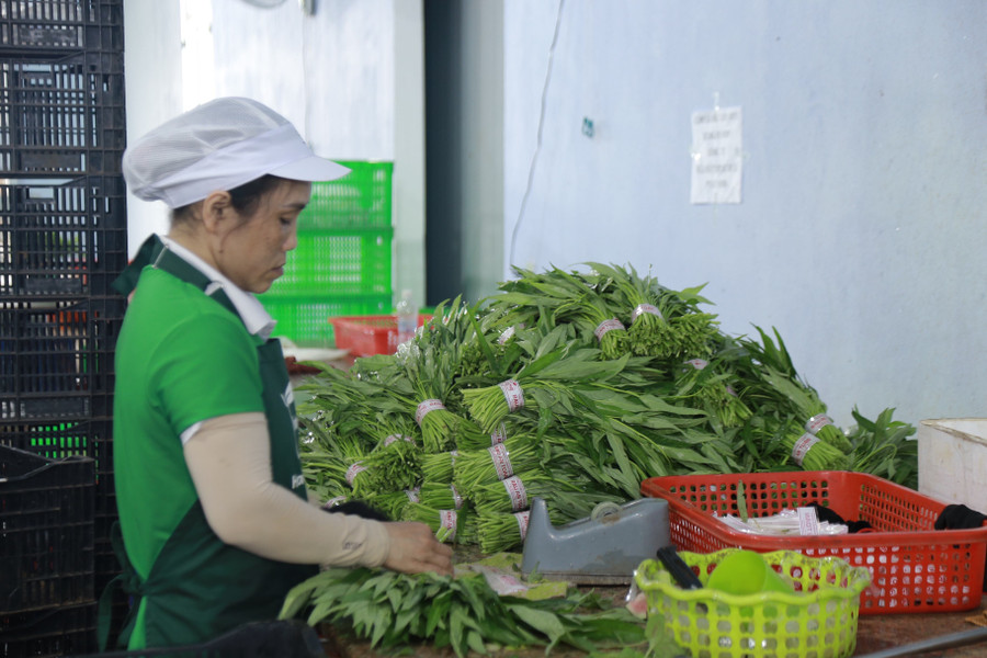 Dữ liệu truy xuất nguồn gốc sản phẩm, hàng hóa gồm tối thiểu 10 thông tin. Ảnh: Phương Vi Dữ liệu truy xuất nguồn gốc sản phẩm, hàng hóa gồm tối thiểu 10 thông tin. Ảnh: Phương Vi