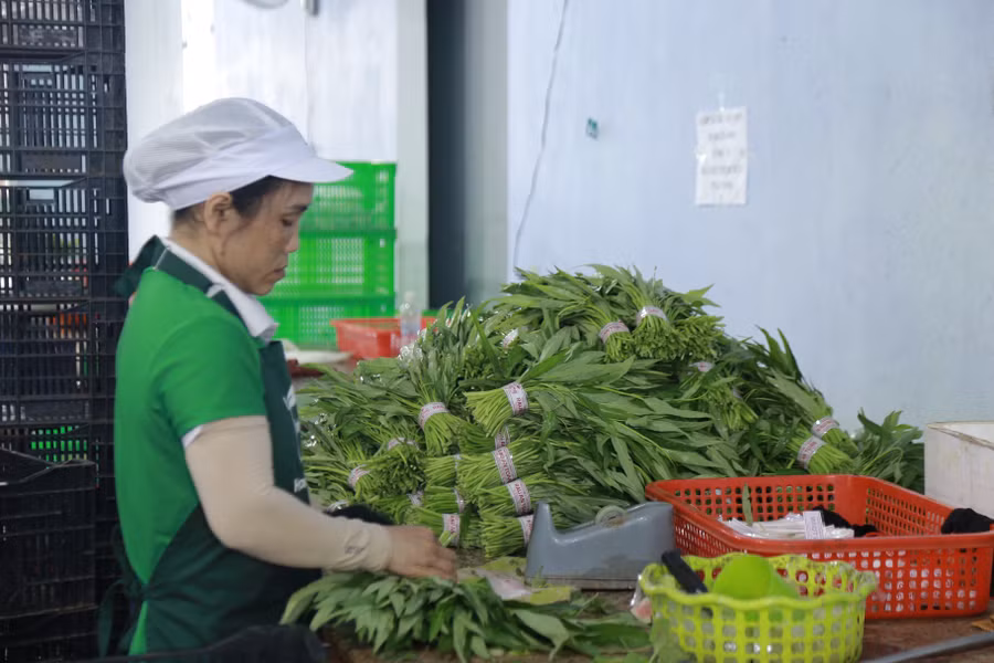 Dữ liệu truy xuất nguồn gốc sản phẩm, hàng hóa gồm tối thiểu 10 thông tin. Ảnh: Phương Vi