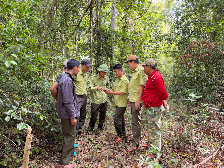 Lực lượng quản lý, bảo vệ rừng Vườn Quốc gia Kon Ka Kinh thực hiện tuần tra rừng. Ảnh: Phương Vi