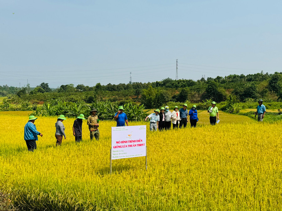 Người dân tham quan mô hình trình diễn. Ảnh: Minh Thoan