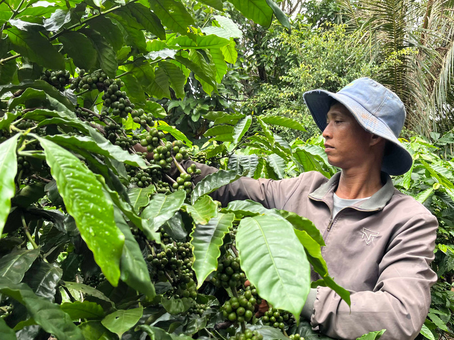 Các Bộ, ngành, địa phương phải tạo điều kiện, khuyến khích nông dân, lao động nông thôn học nghề, nâng cao trình độ chuyên môn gắn với các mô hình nông dân sản xuất, kinh doanh giỏi. Ảnh: P.V Các Bộ, ngành, địa phương phải tạo điều kiện, khuyến khích nông dân, lao động nông thôn học nghề, nâng cao trình độ chuyên môn gắn với các mô hình nông dân sản xuất, kinh doanh giỏi. Ảnh: P.V