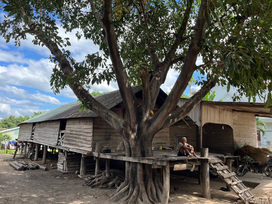 Những ngôi nhà dài truyền thống có tuổi đời hàng chục năm nép dưới bóng cây cổ thụ tạo thành nét yên bình, mộc mạc. Ảnh: P.L