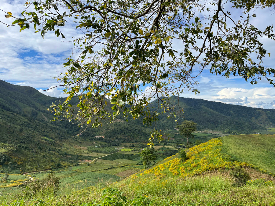 Ảnh minh họa: Phương Vi Ảnh minh họa: Phương Vi