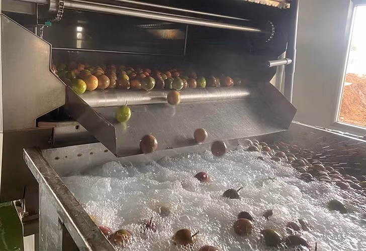 Vận hành thử nghiệm quy trình sản xuất nước ép trái cây tại Nafoods Tây Nguyên. Ảnh: N.H Vận hành thử nghiệm quy trình sản xuất nước ép trái cây tại Nafoods Tây Nguyên. Ảnh: N.H