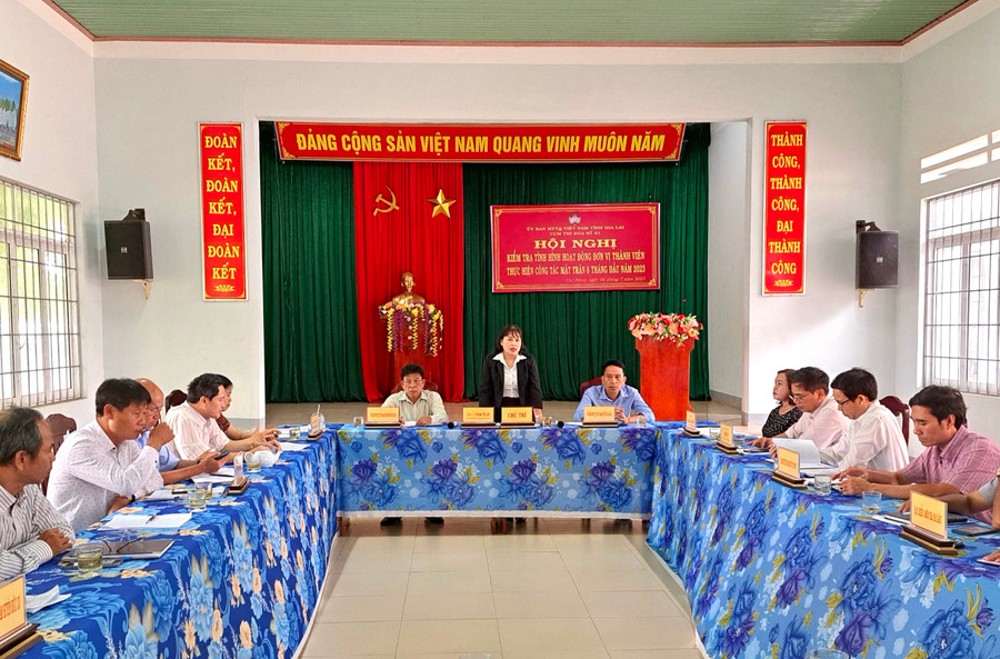 Quang cảnh hội nghị. Ảnh: Lê Đại